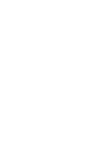 Reportes diarios de conversiones y oportunidades
